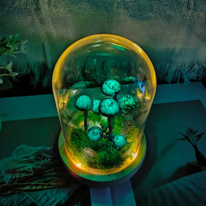 🍄Whimsical Forest Mushroom Night Light✨